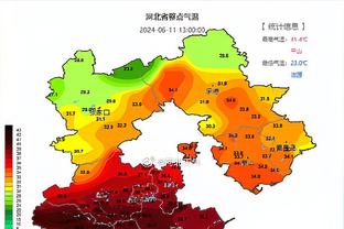 沪媒：“狠角色”要来？俄罗斯名宿别列祖茨基或任申花助教